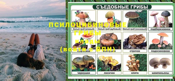 СК Инсар