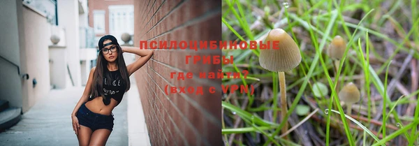 не бодяженный Инта
