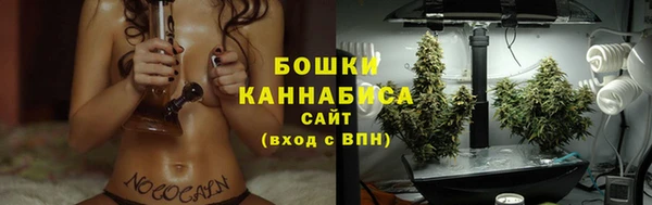 СК Инсар