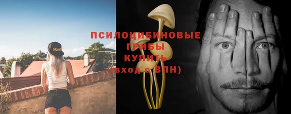 не бодяженный Инта