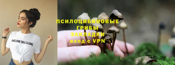 СК Инсар