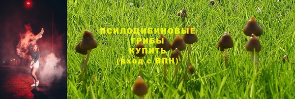 не бодяженный Инта