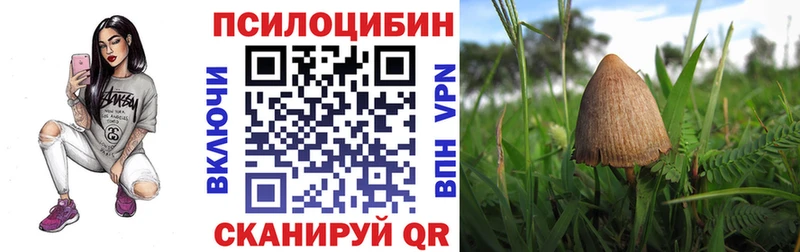 Галлюциногенные грибы Psilocybine cubensis  Купить закладки  Белая Холуница 