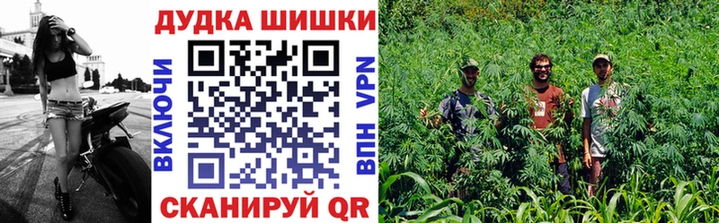 Конопля гибрид  Купить  Белая Холуница 